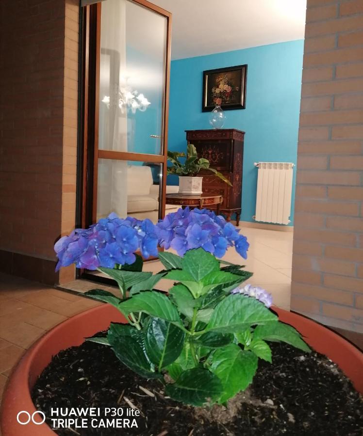 B&Byanet'S Beautiful House Civitavecchia Exterior foto